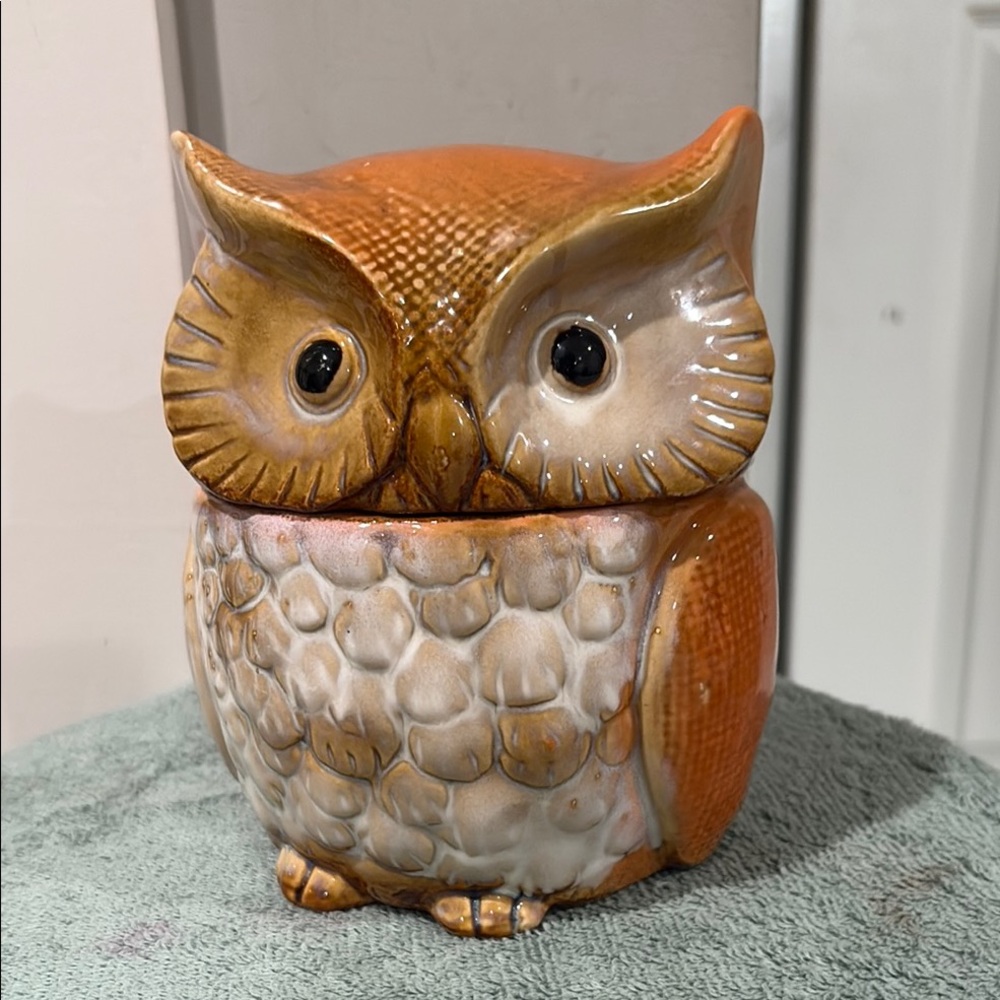 Orange and Cream Owl Food Storage Container